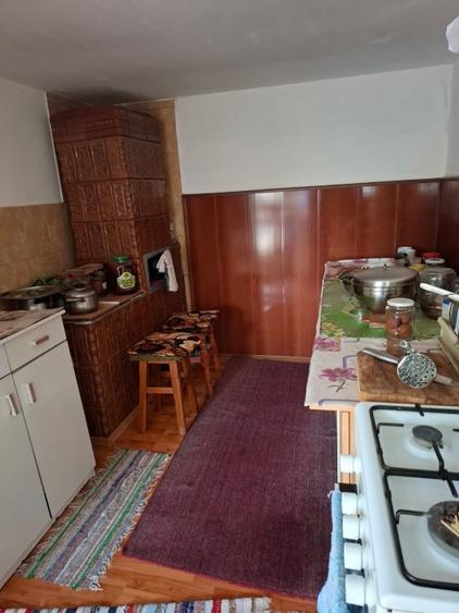 Casă de vânzare în Dunăreni, com. Aliman – Gospodărie completă, mobilată  - 11