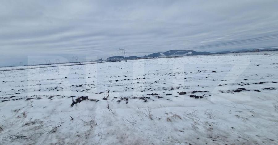 Teren extravilan arabil pretabil investitie casa sau afacere - 6