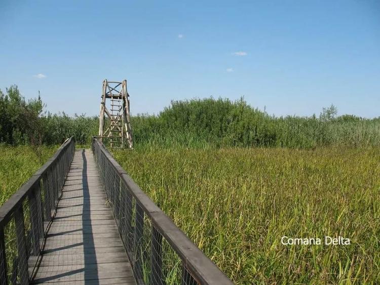 Vând loturi de 527 si 635 mp lângă Delta Neajlovului la cel mai bun preț - 7