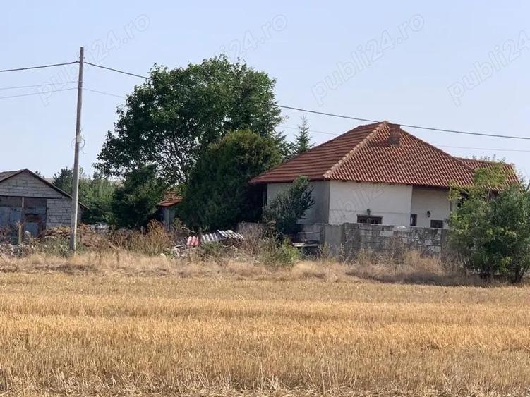 teren intravilan, Poiana, Ovidiu- Constanta - 1