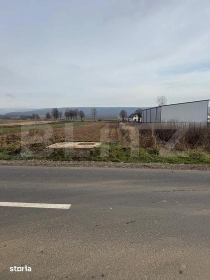 Teren de 1600 mp, în Pătrăuți