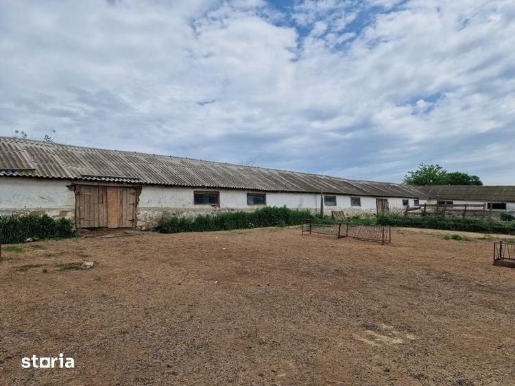 Teren de 1600 mp, în Rasova