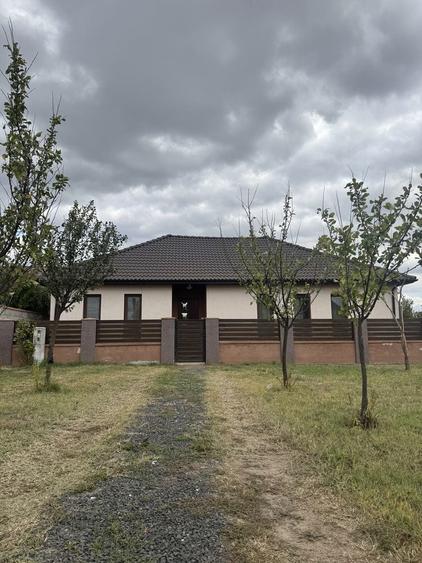 Casa de inchiriat pe parter in Sag - 8