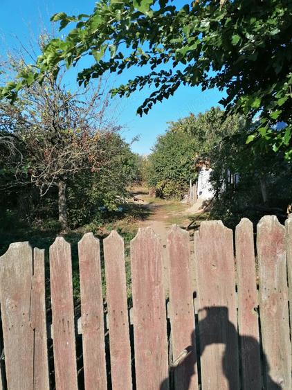 Casa de vanzare Malu - IALOMITA - 3