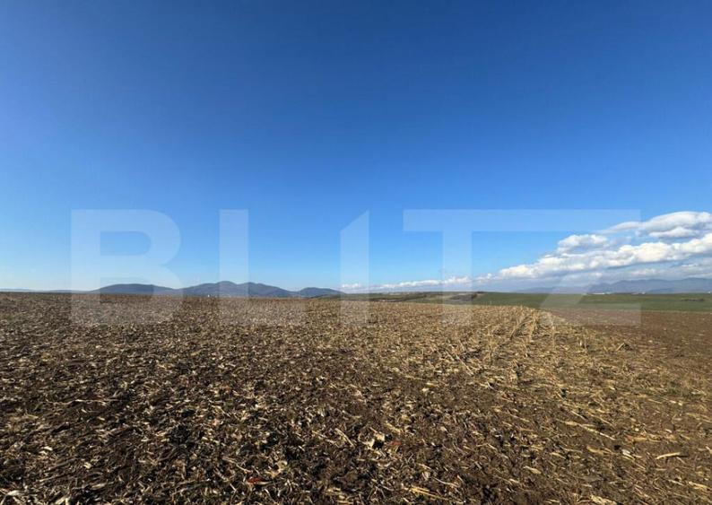 Teren extravilan agricol 5700 mp, Cristur - 5