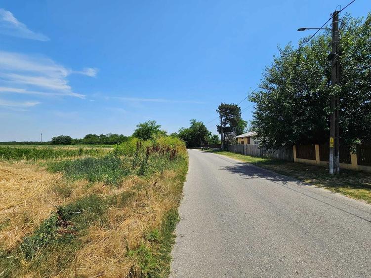 Teren intravilan de vanzare in Potlogeni Vale la 6 km de Oras Gaesti - 6