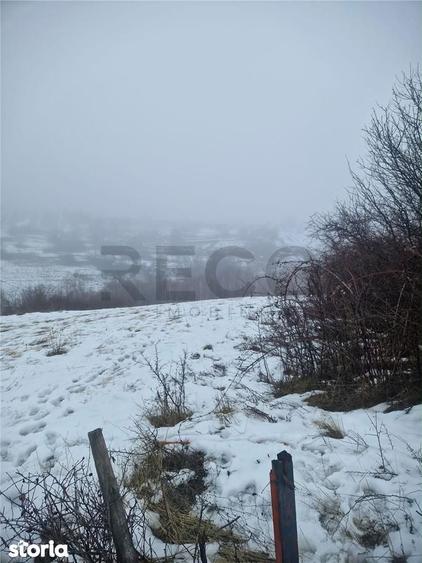RECO, teren extravilan, Zona Sinteu, Bihor - 4