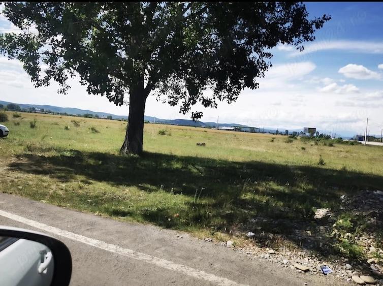 Teren de 7500 mp, în Florești