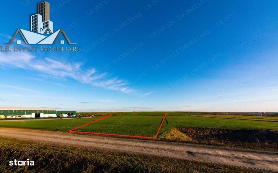 Teren Giarmata-PUG de locuinte- 100.000euro - 4