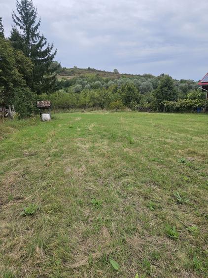 Vand teren extravilan - 4
