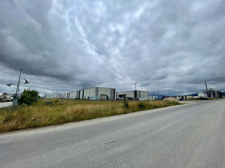 Teren str.Narciselor 6250mp ! - 1