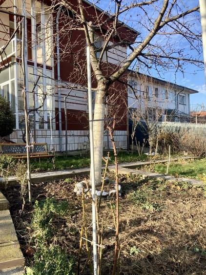 Casă cu 4 camere în Central