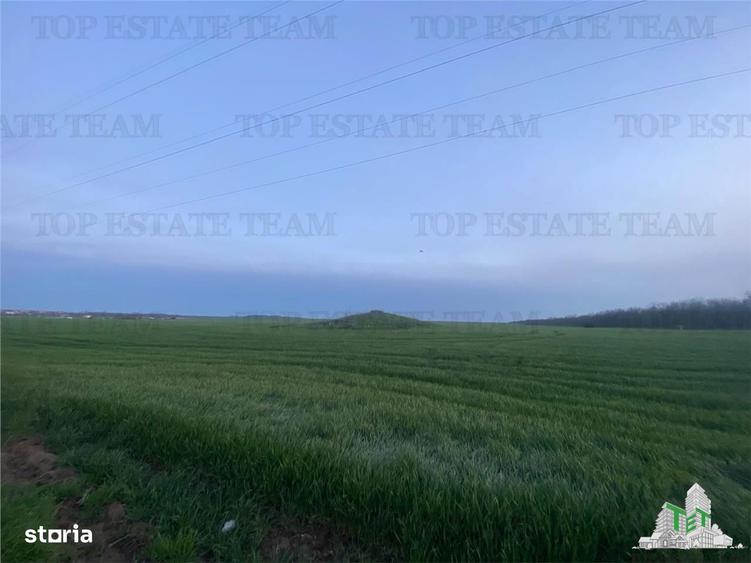 Teren intravilan 15000 mp Costinesti, Constanta - 1