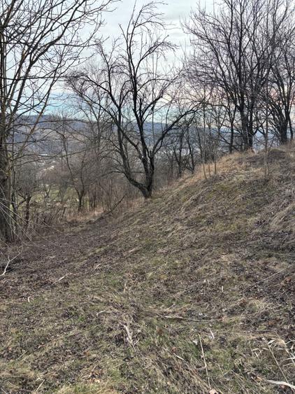 Teren de vanzare Fieni Dambovita - 7