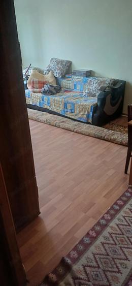 Apartament 2 camere Alexandria - 2