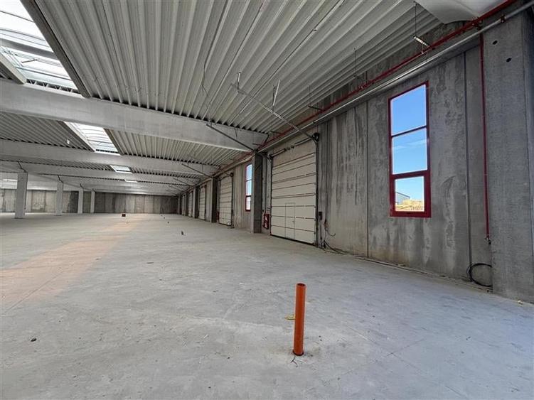 Inchiriere depozit/spatiu industrial/hala Chitila - Rudeni, ILFOV - 7