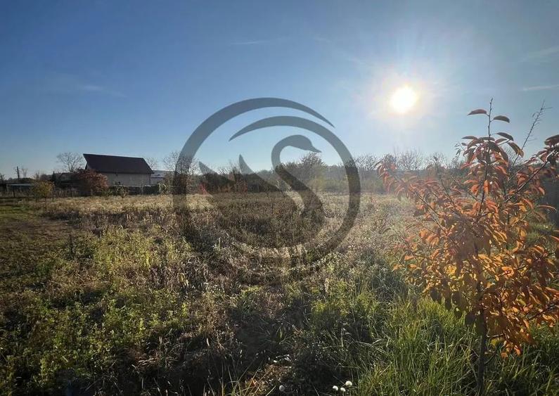 Teren intravilan de vanzare | 12.650 mp | Ghirdoveni, | C... - 6