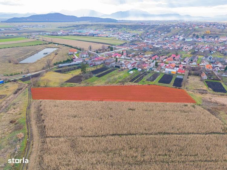 Teren extravilan Bod, 10.000 mp, acces DE 290, zona spre Harman - 5