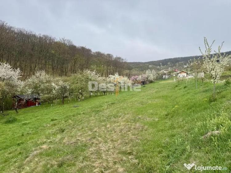 Teren intravilan Deva- Roci - 1