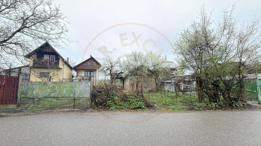 De vânzare 2 Case de vinificație cu Teren 4108 mp - Grădina Viilor - Carei - 11