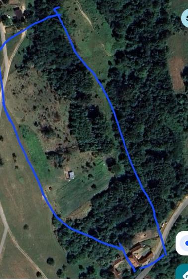 Vand casa la padure - 9