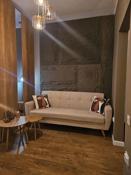 Garsoniera tip studio Dristor New City Residence - 2