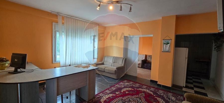 BRUTĂRIE-MOARĂ-LOCUINȚĂ în CHISINDIA - 3