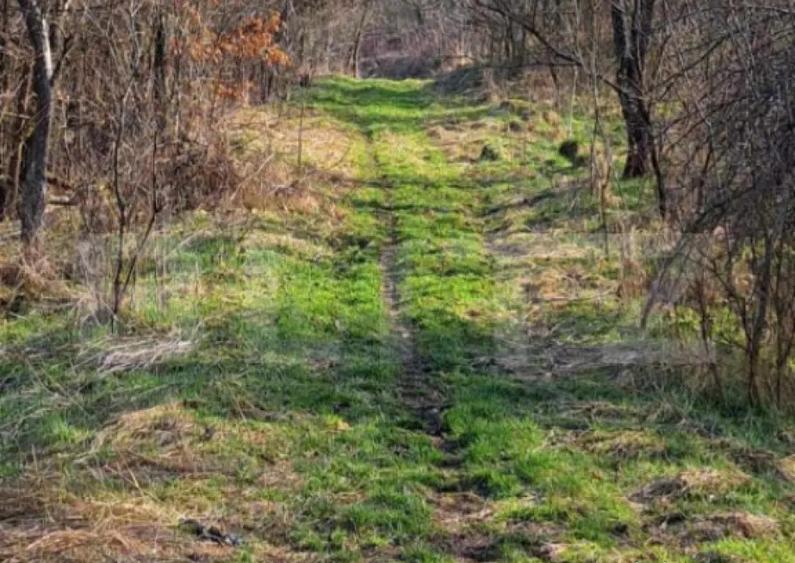 Casa cu o camera, 60 mp, in apropiere de Brad - 1