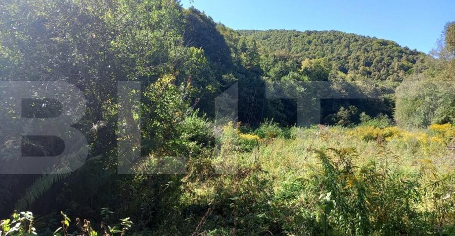 Teren intravilan in zona Valea Ierii, 9691 mp, front 84,71ml - 1