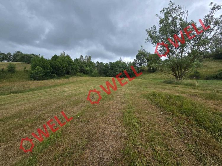 De vânzare teren extravilan loc. Sărămaș! - 8