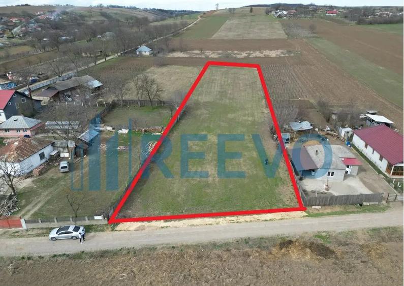 Teren de vanzare, Sat Bazga, Com. Horge?ti, Bacau - 7