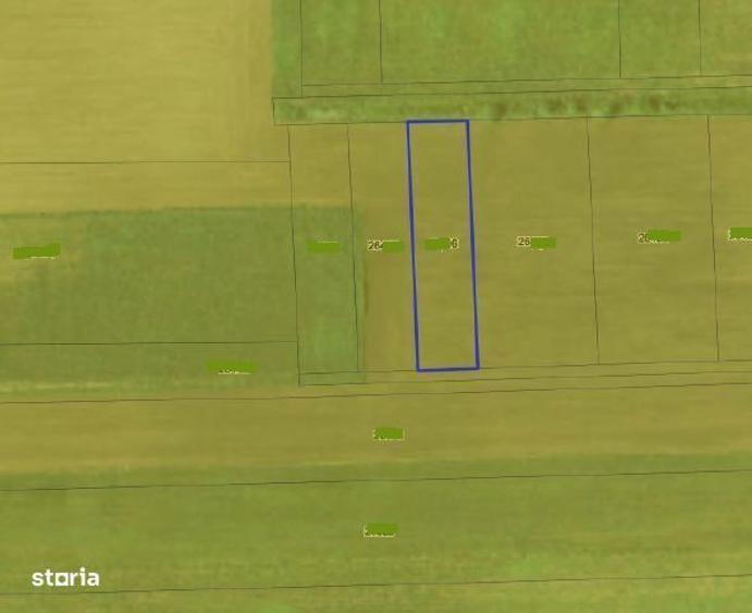 cota 1/2 din teren extravilan-Loc. Dor Marunt, jud Calarasi, - 3