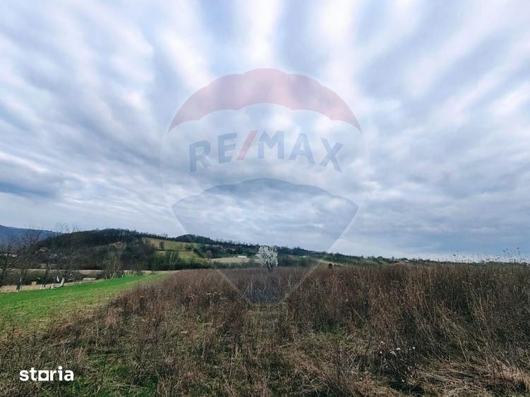 Teren cu panorama superba in Berchezoaia + bonus rulota - 7