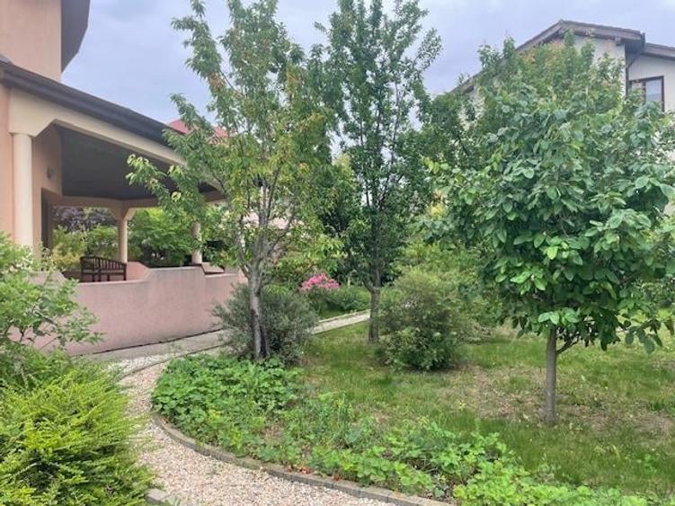 VILA INDIVIDUALA P+1 / PIPERA / DRUMUL BISERICII / 1350 TEREN - 6