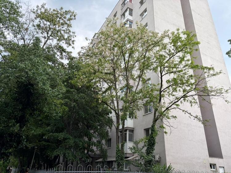 2 camere decomandat | Renovat | Loc de parcare inclus – Codrii Neamtului - 15