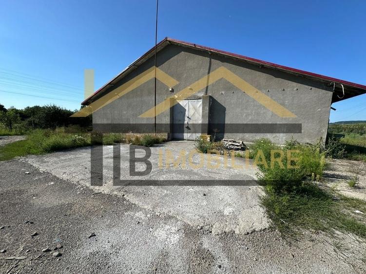 Spatiu industrial de inchiriat/vanzare/ 2052mp/ Zona Ernei - 3