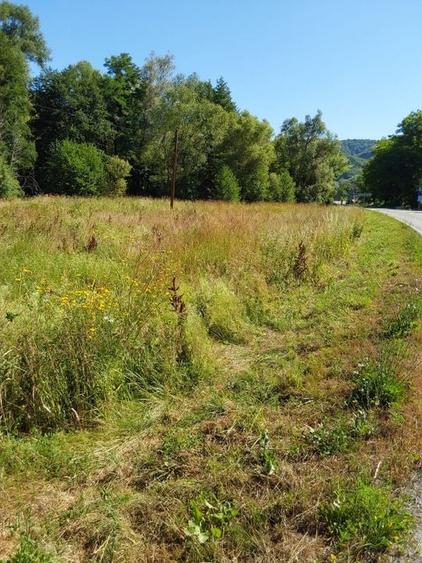 TEREN INTRAVILAN &Icirc;N MARGA-LA DN68 JUD.CARAȘ-SEVERIN - 6