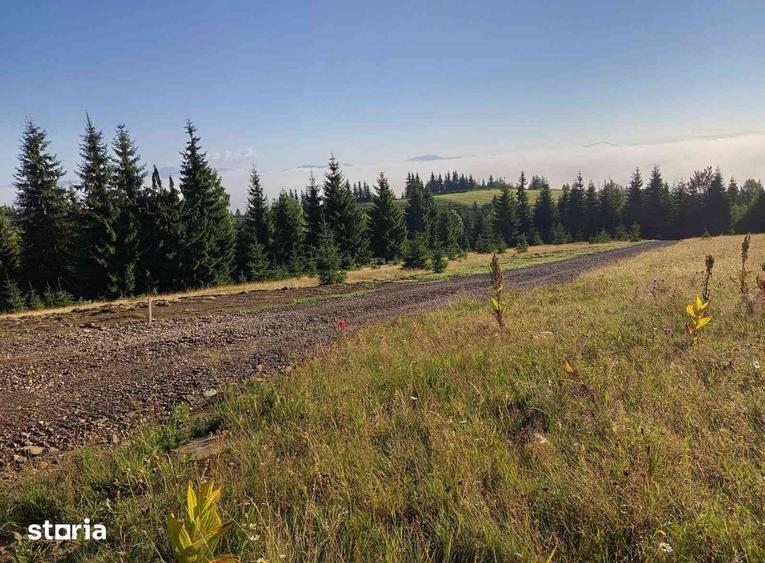 TEREN DE VANZARE Piatra Fantanele/TIHU?A - 1