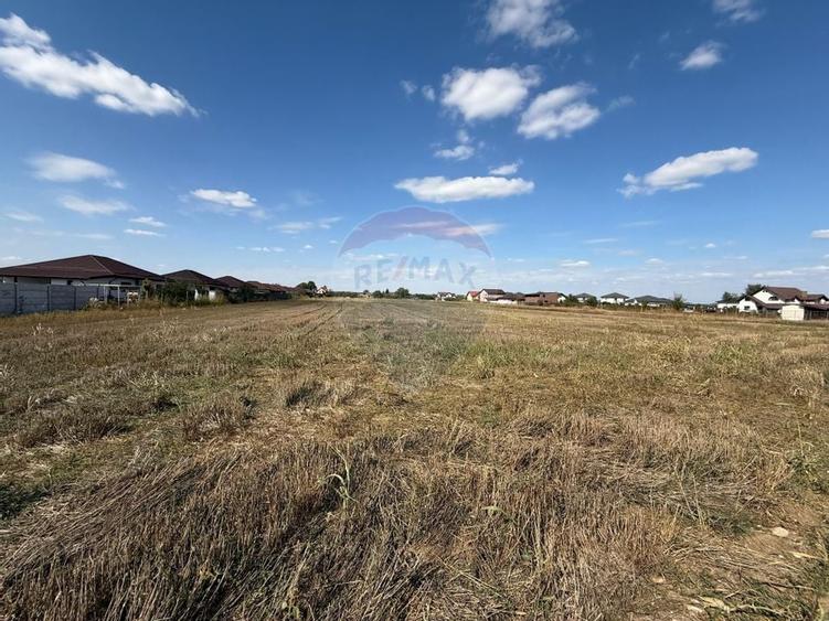 Vand teren intravilan 5000 mp in Sabareni - 5