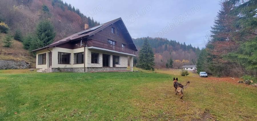 Casa de vacanta 3 niveluri P+E+M Colibita - 10