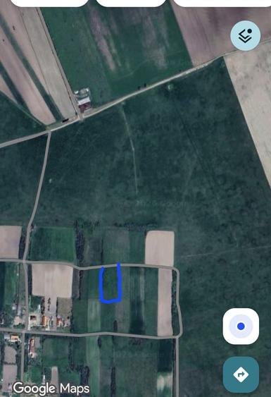 Teren intravilan Iosifalau 30 km de Timisoara - 2