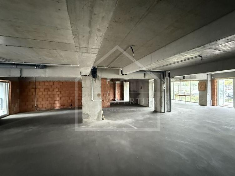 Spatiu Comecial 155 MP UTILI - 5