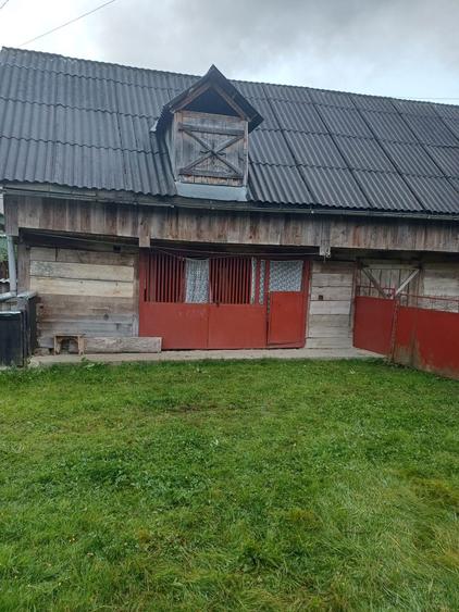 Casa la tara - Bocicoel, Maramures - 8