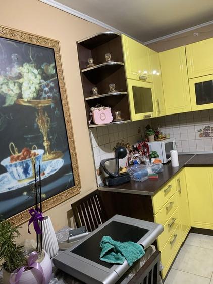 Vand casa Arad Str Nicola Alexici - 4