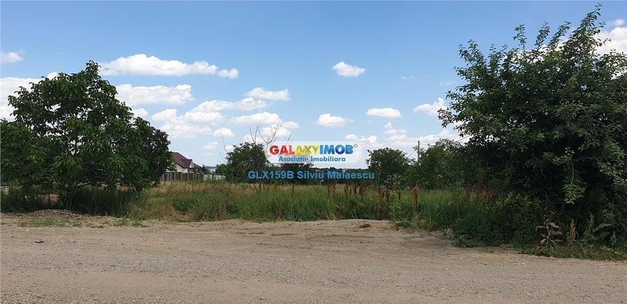Balotesti - Teren 1.540 Mp str. Florilor - 10