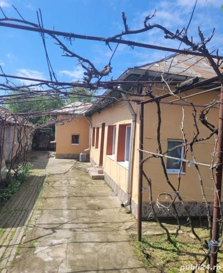 Vand casa Manasia - 1