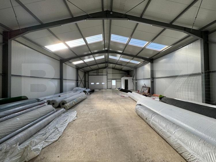 Hala 194 mp utili, platforma betonata 400 mp si teren total de 1.500 mp, Racari - 6