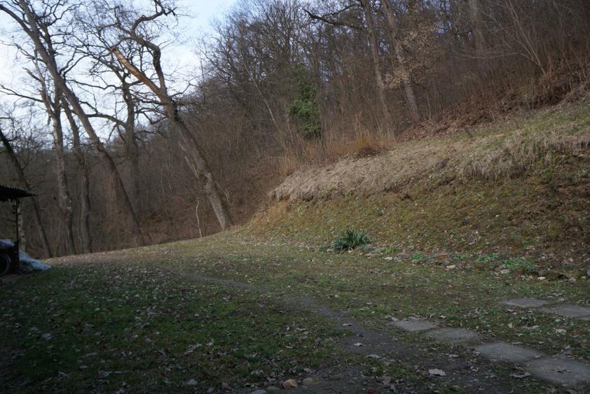 Vand casa in orasul Sighisoara - zona linistita - 3