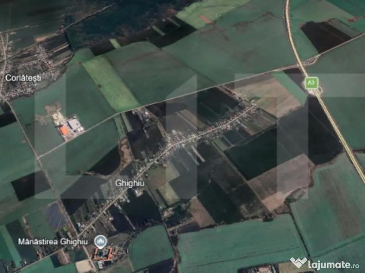TEREN CASA GHIGHIU - 1