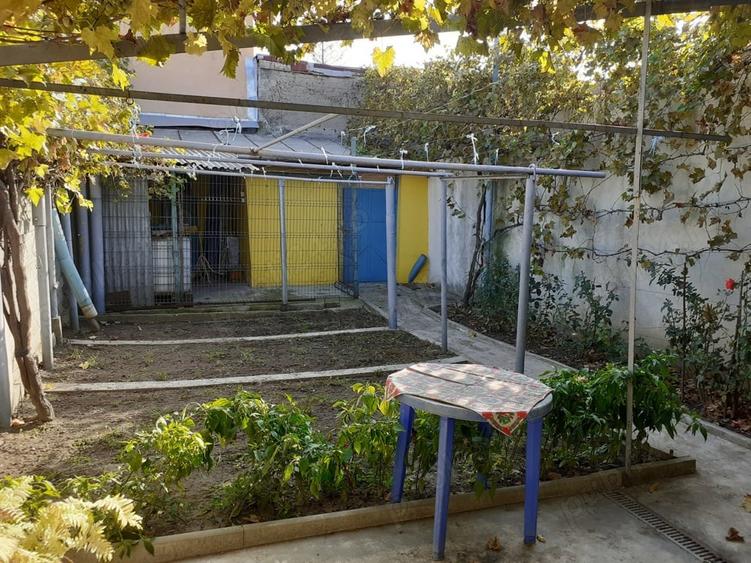 - Casa de vanzare pe str. Grivitei mobilata si utilata, aproape de str. General Eremia Grigorescu. - 18